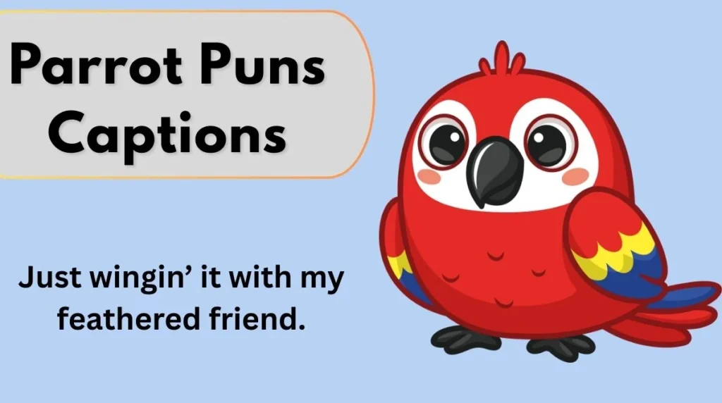 Parrot Puns Captions
