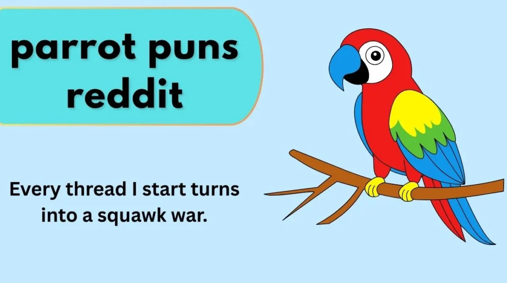 parrot puns reddit
