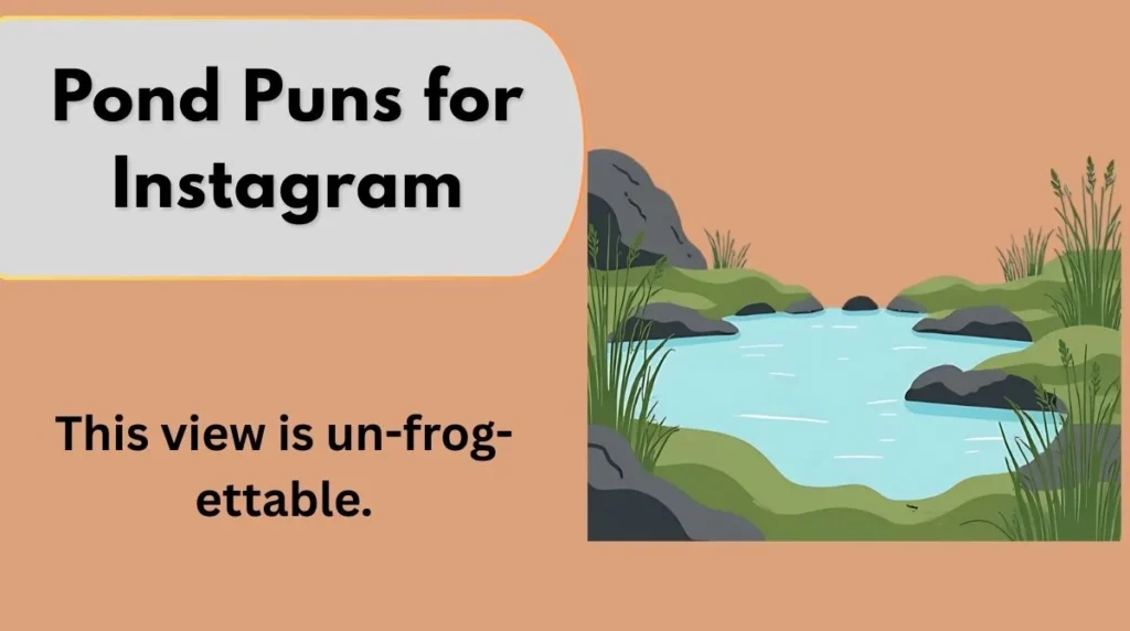 Pond Puns for Instagram