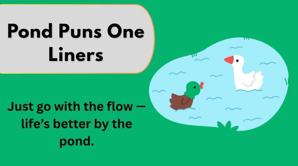 Pond Puns One Liners