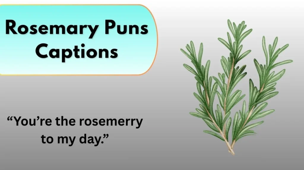 Rosemary Puns Captions