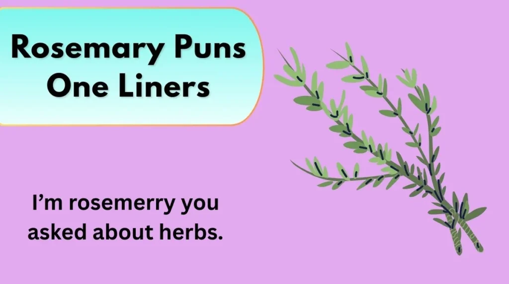 Rosemary Puns One Liners