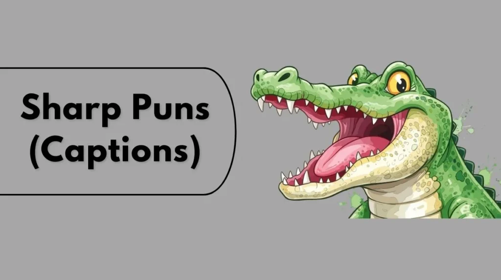 Sharp Puns (Captions)