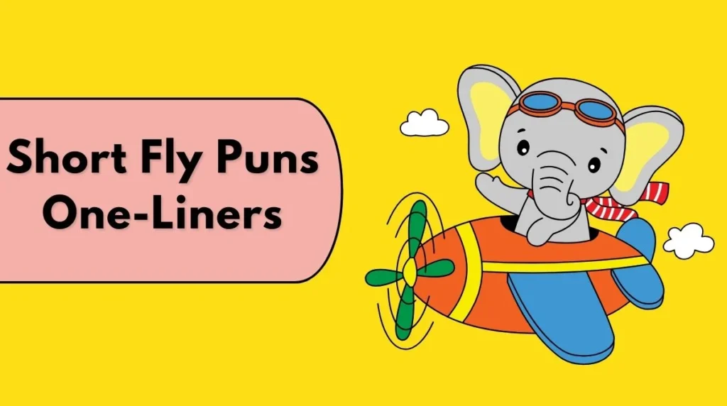 Short Fly Puns One-Liners