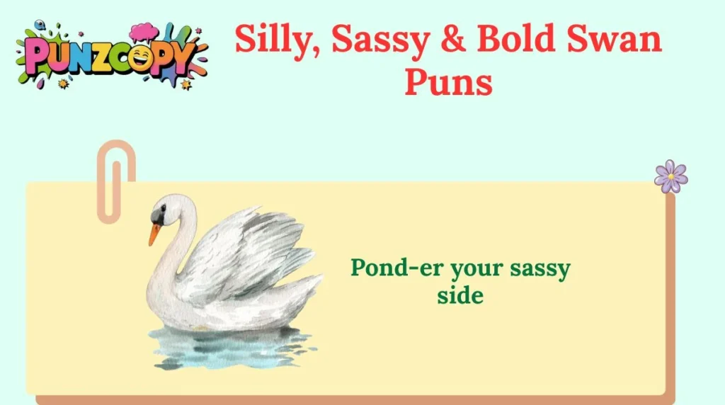 Silly, Sassy & Bold Swan Puns