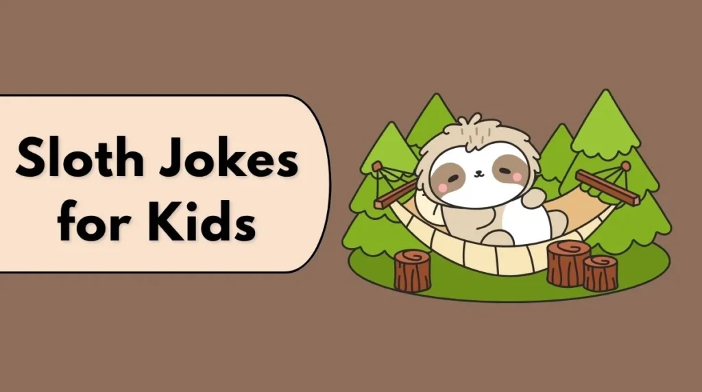 Sloth Jokes for Kids