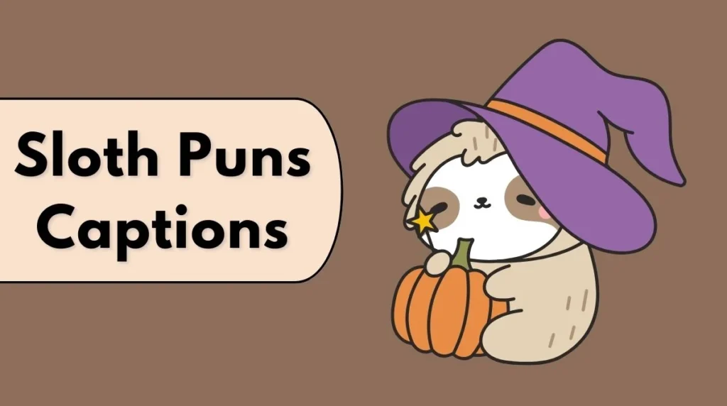 Sloth Puns Captions