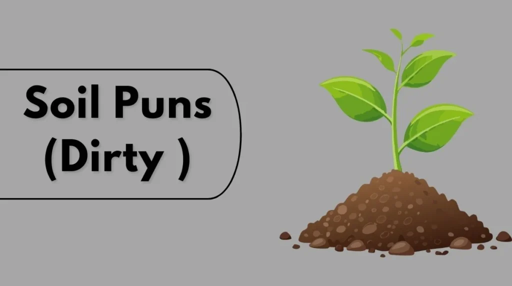 Soil Puns (Dirty đ)