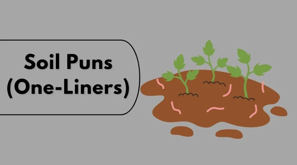 Soil Puns (One-Liners)