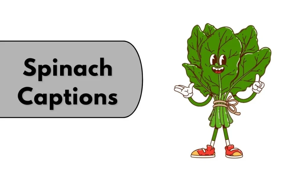 Spinach Captions