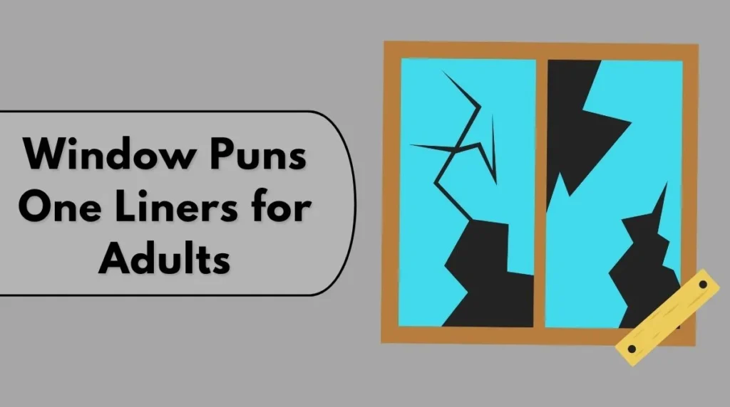 Window Puns One Liners for Adults