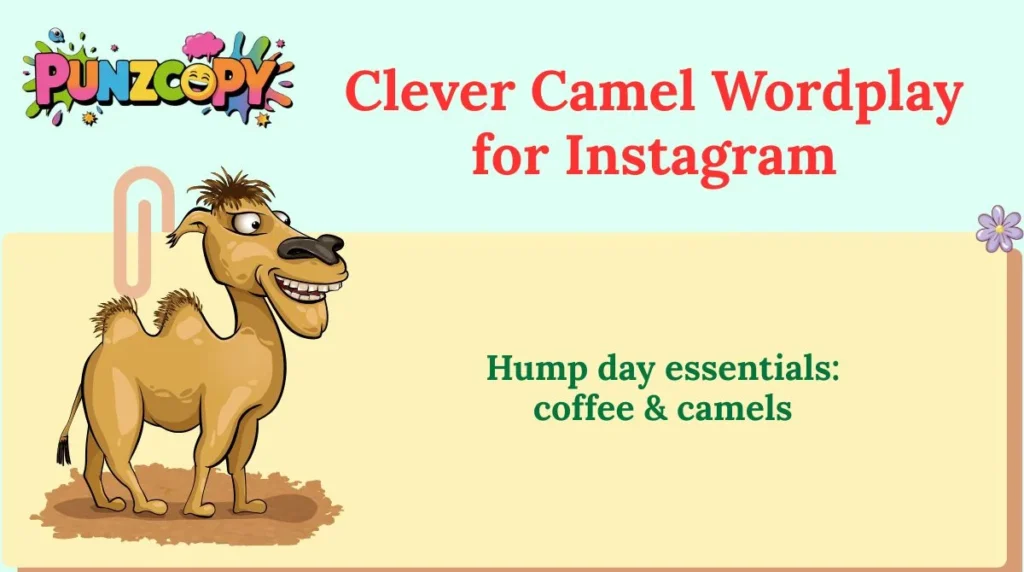 Clever Camel Wordplay for Instagram