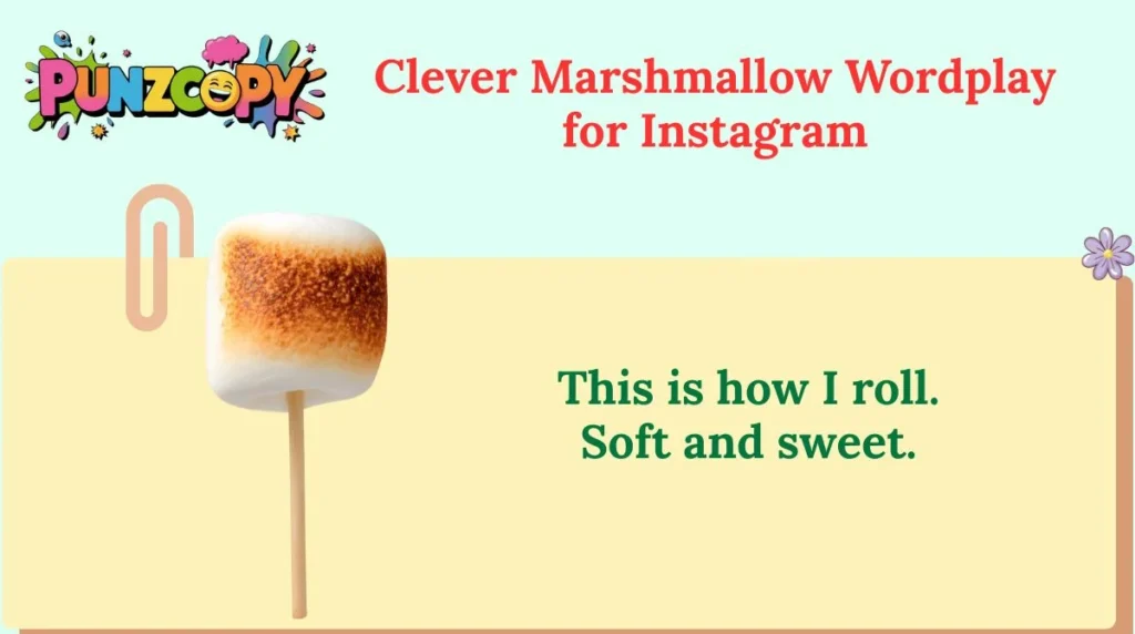 Clever Marshmallow Wordplay for Instagram