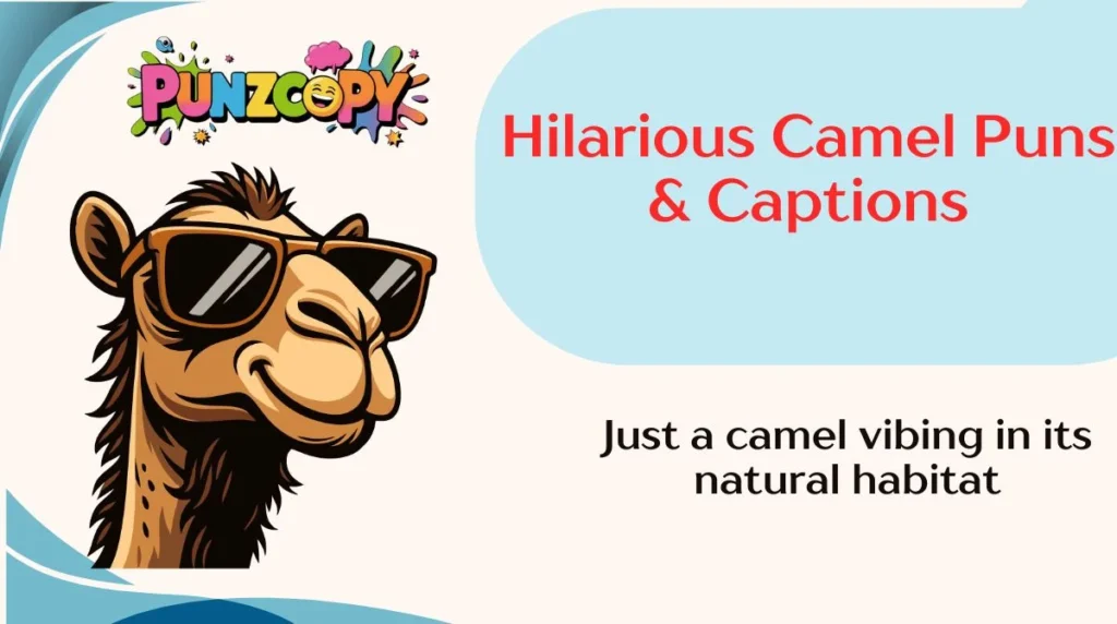 Hilarious Camel Puns & Captions