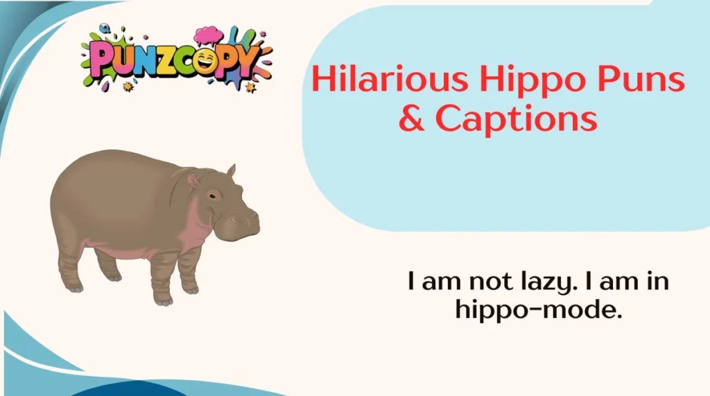 Hilarious Hippo Puns & Captions