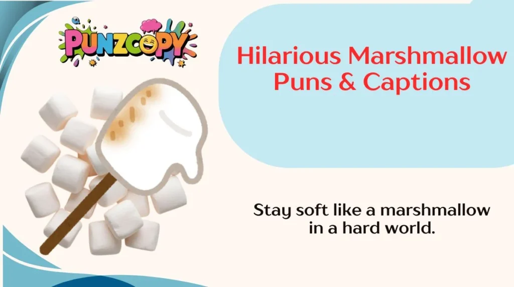 Hilarious Marshmallow Puns & Captions