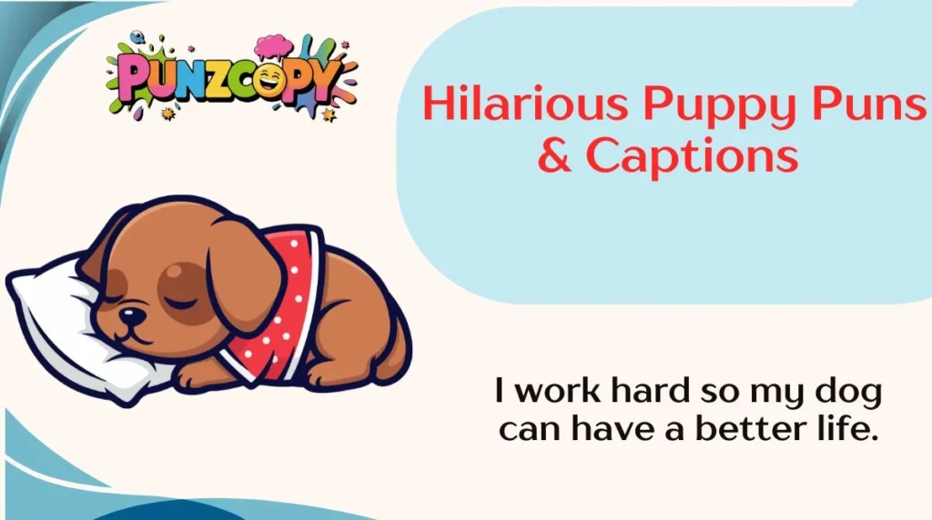 Hilarious Puppy Puns & Captions