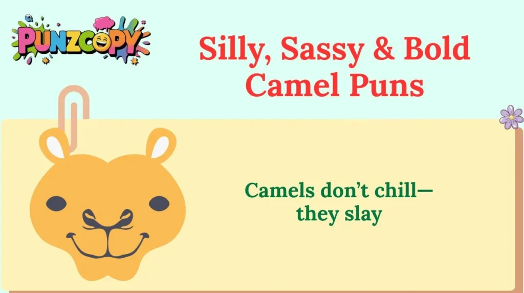 Silly, Sassy & Bold Camel Puns