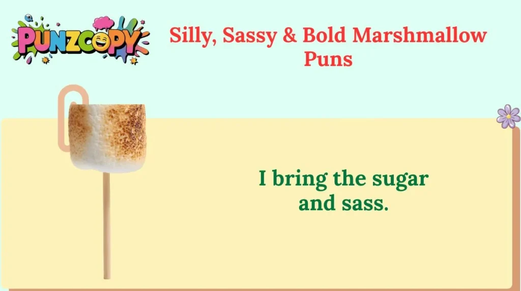 Silly, Sassy & Bold Marshmallow Puns