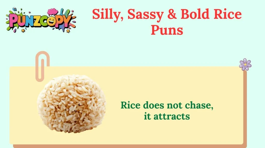 Silly, Sassy & Bold Rice Puns