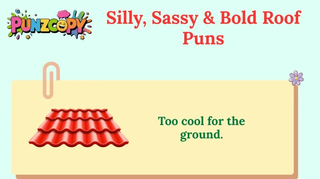 Silly, Sassy & Bold Roof Puns