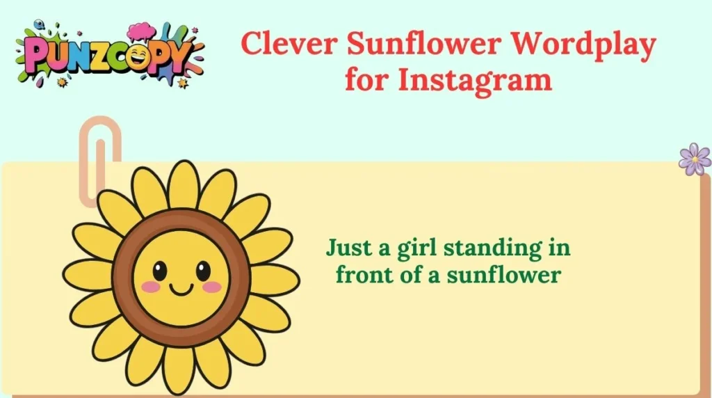 Clever Sunflower Wordplay for Instagram