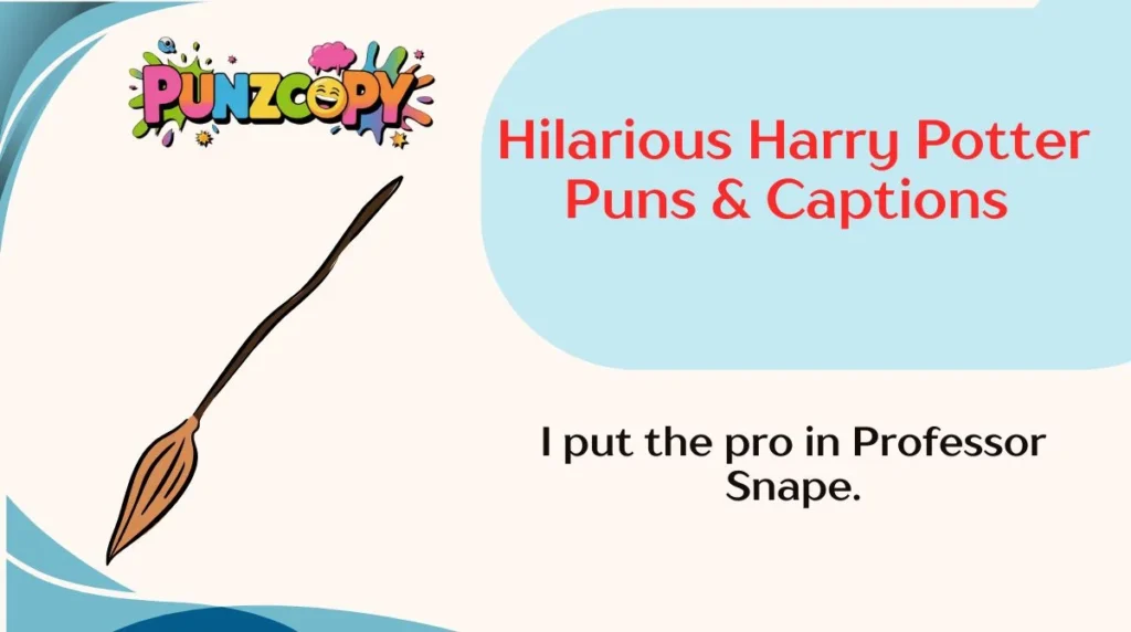 Hilarious Harry Potter Puns & Captions