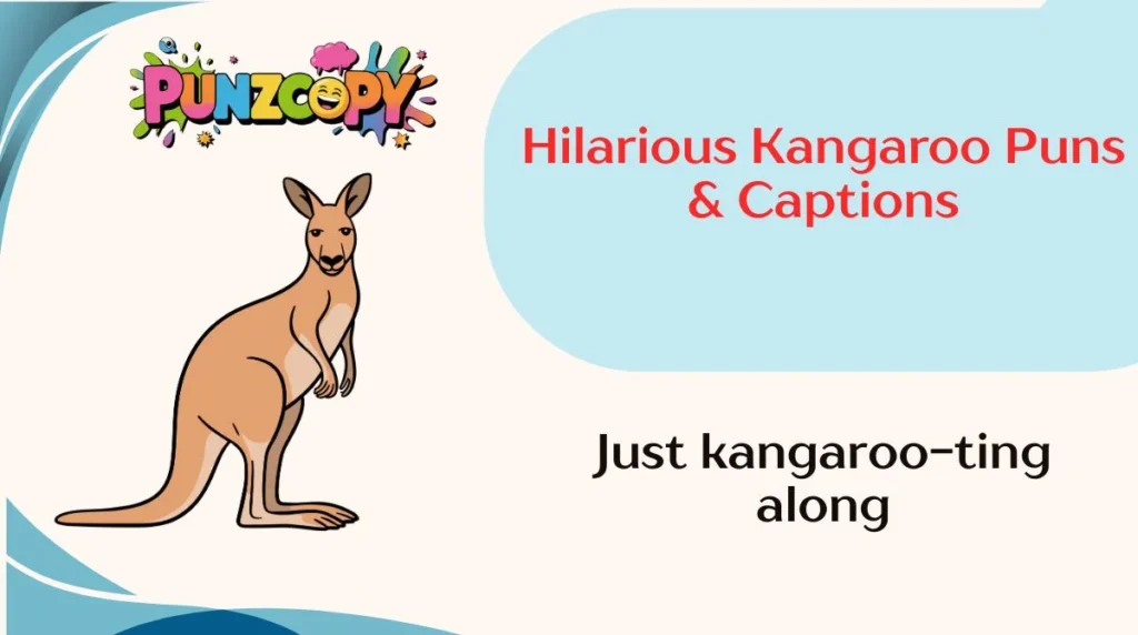 Just kangaroo-ting along