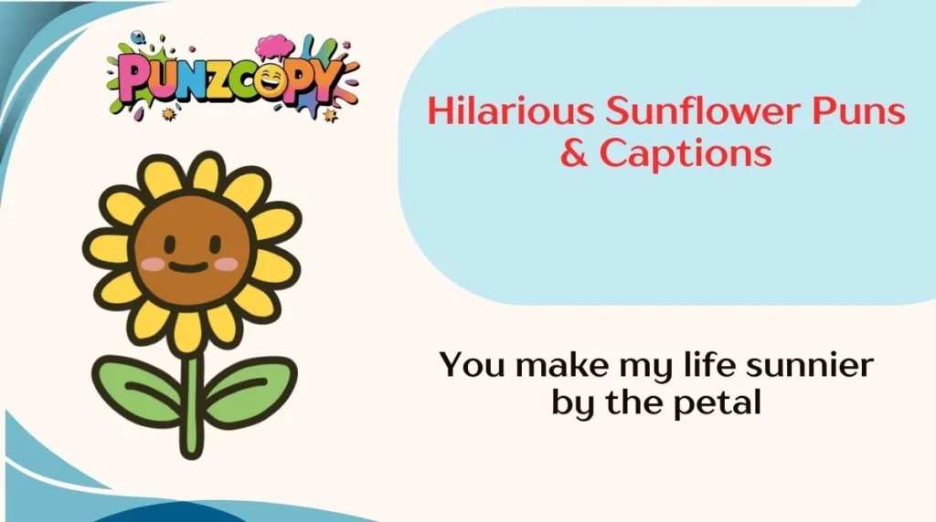 Hilarious Sunflower Puns & Captions