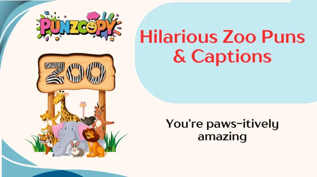 Hilarious Zoo Puns & Captions