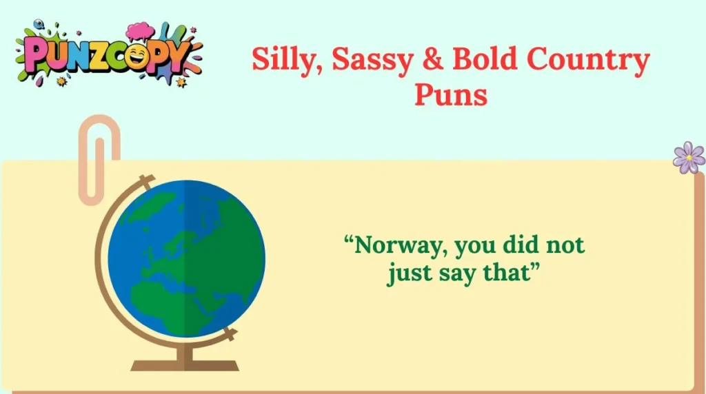 Silly, Sassy & Bold Country Puns