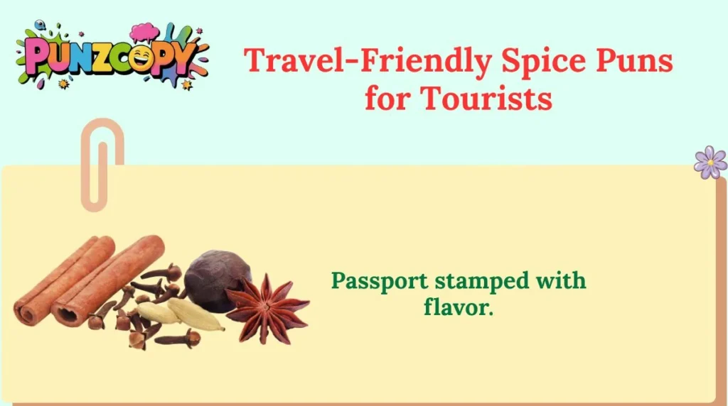 Travel-Friendly Spice Puns for Tourists