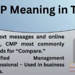 LMSS Meaning in Text