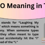 IMAO Meaning in Text