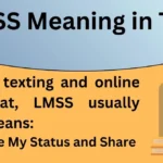 LMSS Meaning in Text