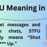 STFU Meaning in Text