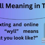 Wyll Meaning in Text