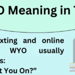 WYO Meaning in Text